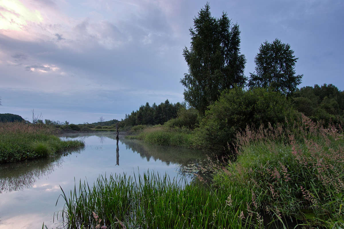 ������ ������� �� ����... ����� Vladimir Bronnikov �� PhotoGeek.ru #������ ��� �������