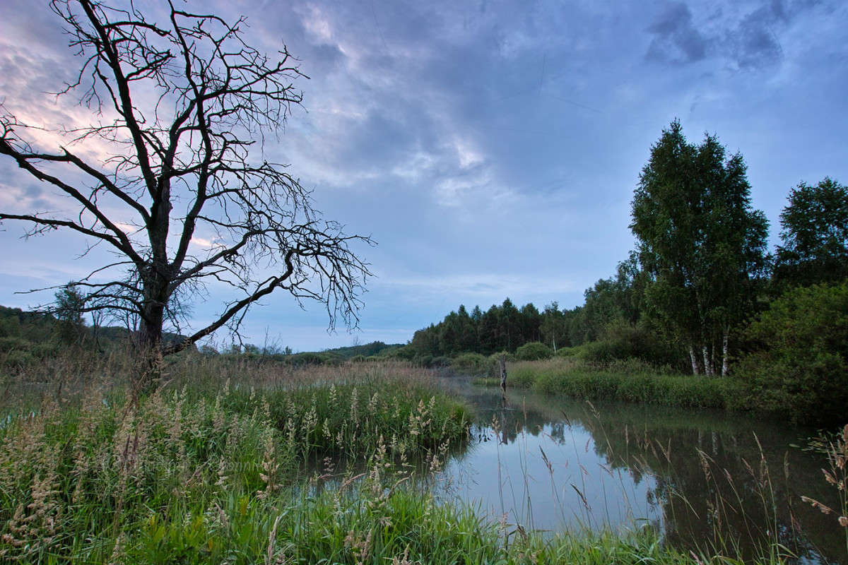 ������ ������� �� ����... ����� Vladimir Bronnikov �� PhotoGeek.ru #������ ��� �������