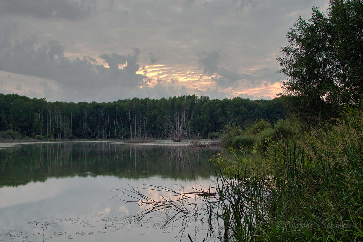 ������ ������� �� ����... ����� Vladimir Bronnikov �� PhotoGeek.ru #������ ��� �������