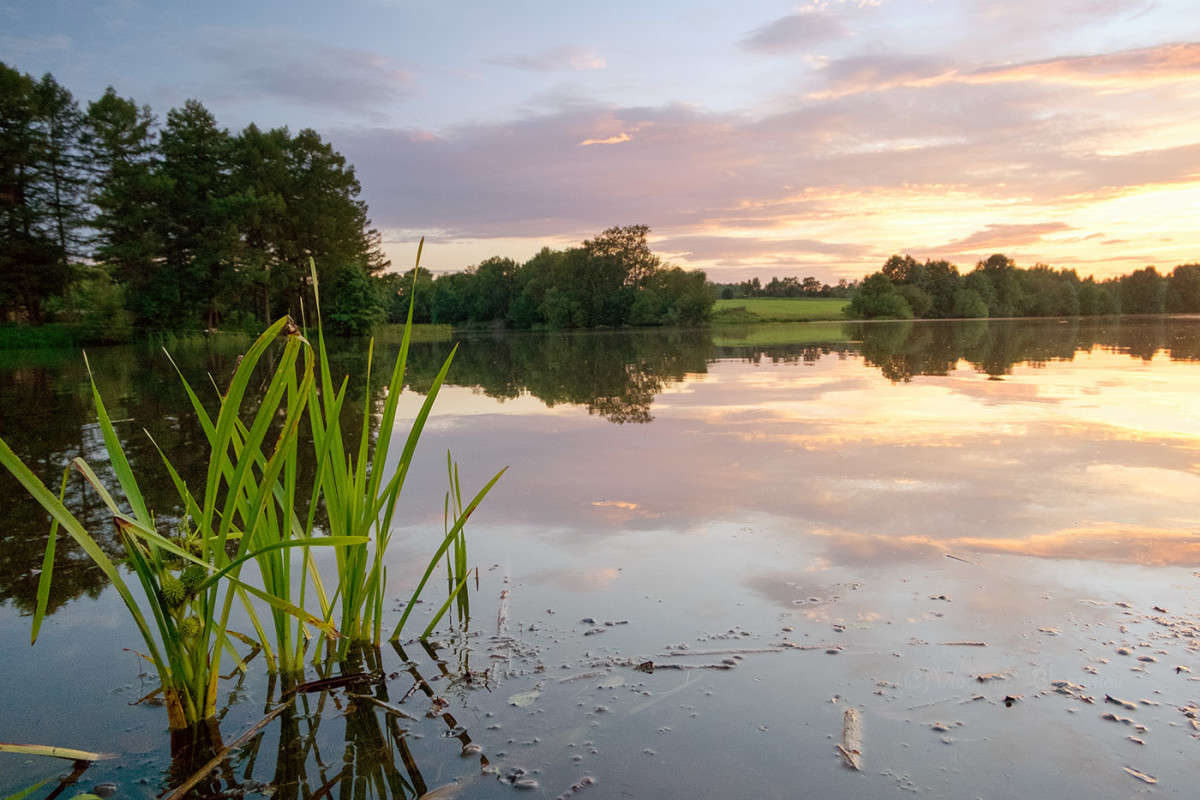 ��������� ������� ������ ����� Vladimir Bronnikov �� PhotoGeek.ru #������ ��� �������