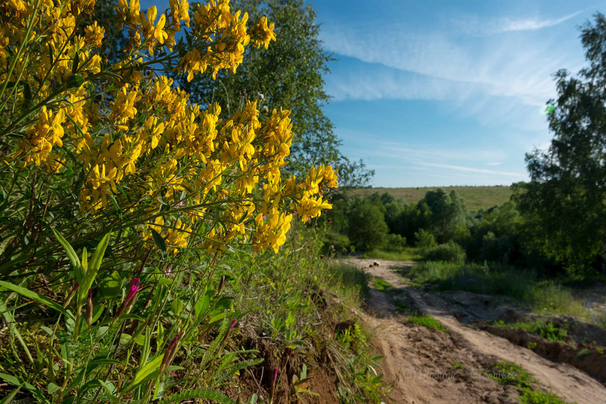 ������ �� �������� �������.... ����� Vladimir Bronnikov �� PhotoGeek.ru #������ ��� �������