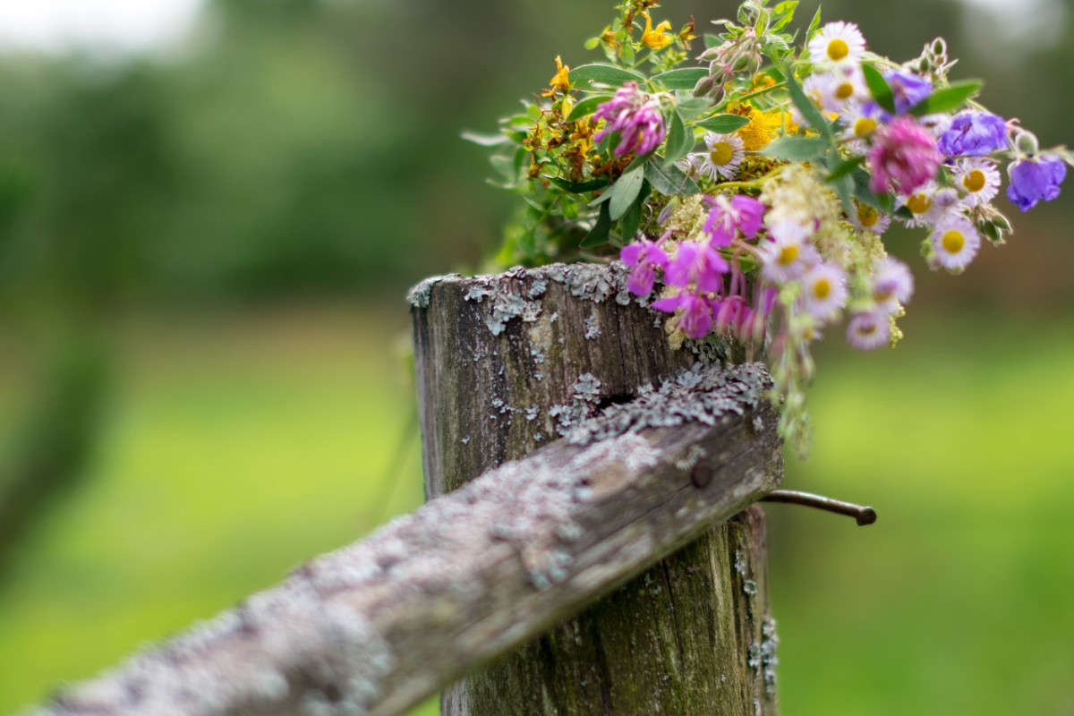 ������� �����.......... ����� Vladimir Bronnikov �� PhotoGeek.ru #������ ��� �������