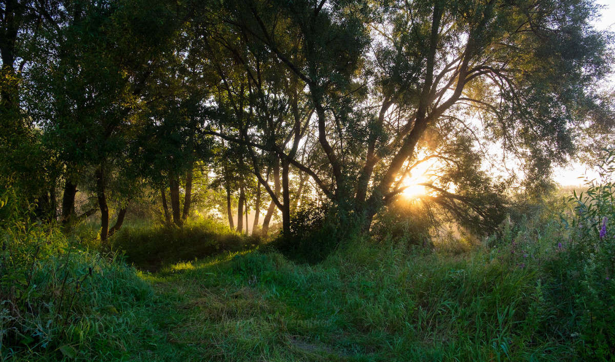 ���� ������ ���........... ����� Vladimir Bronnikov �� PhotoGeek.ru #������ ��� �������