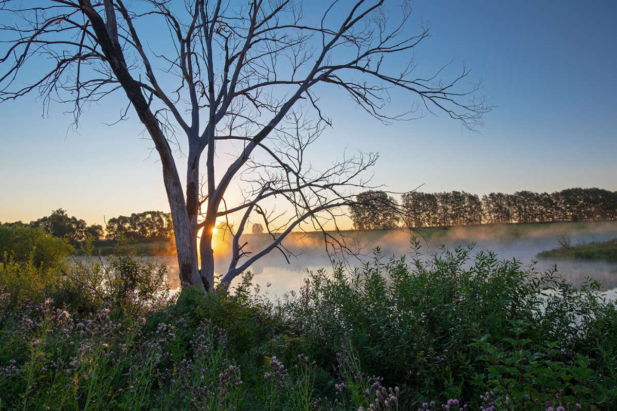 ������ ����� ,����� ������ ��� ��������! ����� Vladimir Bronnikov �� PhotoGeek.ru #������ ��� �������