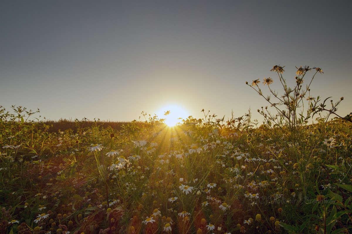 ���������� ����........... ����� Vladimir Bronnikov �� PhotoGeek.ru #������ ��� �������