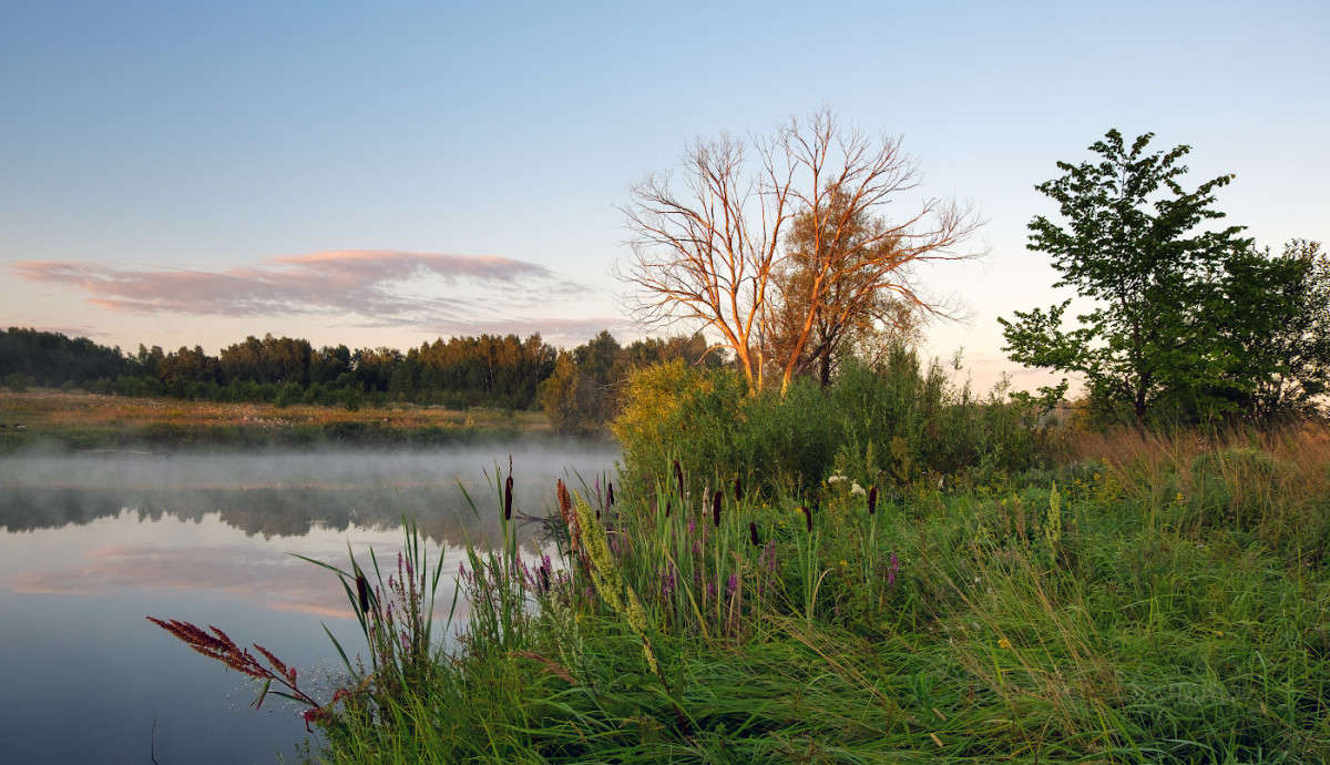 ���������� ���� �� �����.... ����� Vladimir Bronnikov �� PhotoGeek.ru #������ ��� �������