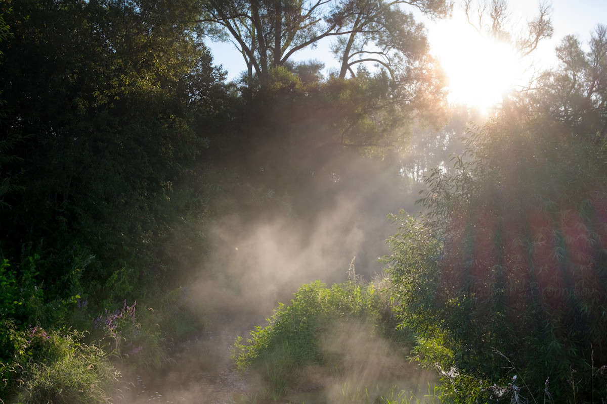 ���������� ����........... ����� Vladimir Bronnikov �� PhotoGeek.ru #������ ��� �������