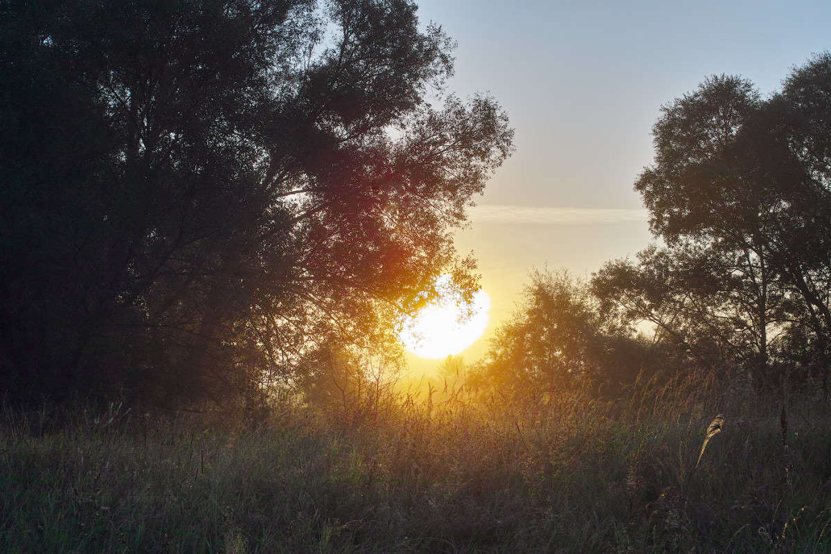 �������� �������....... ����� Vladimir Bronnikov �� PhotoGeek.ru #������ ��� �������