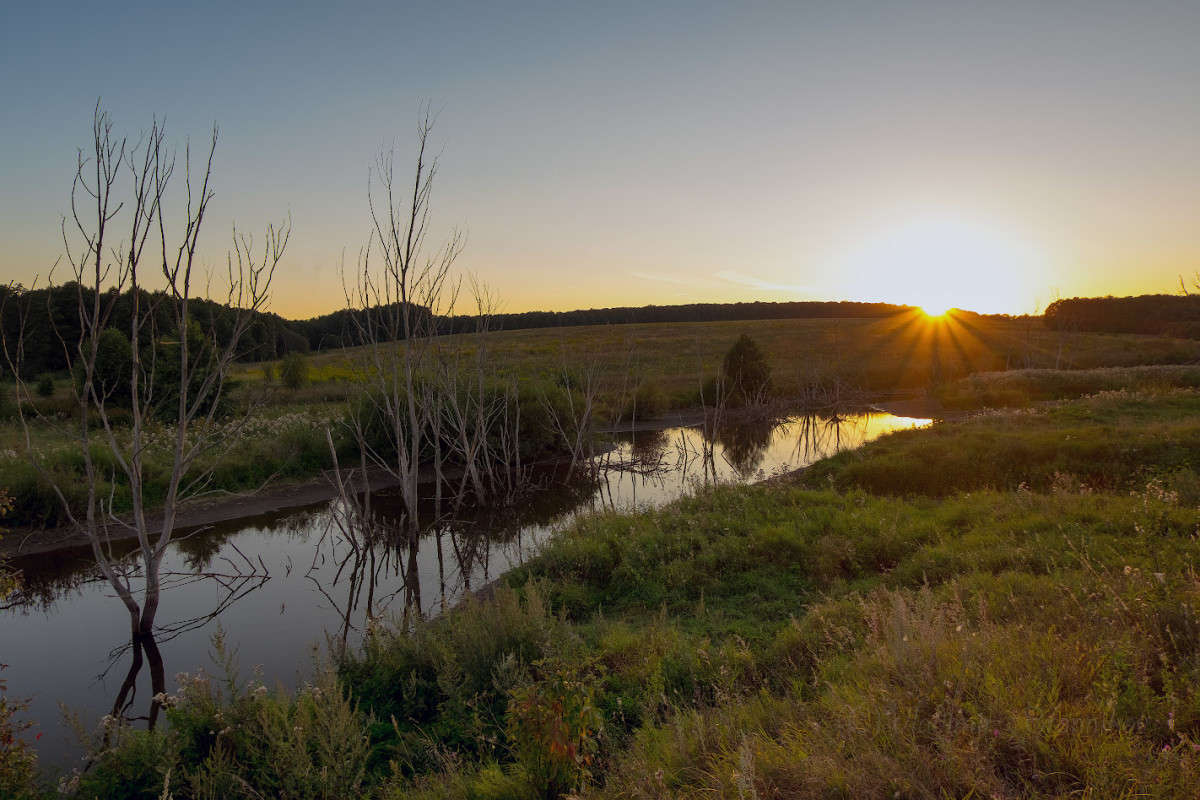 �������� ������ �������.... ����� Vladimir Bronnikov �� PhotoGeek.ru #������ ��� �������
