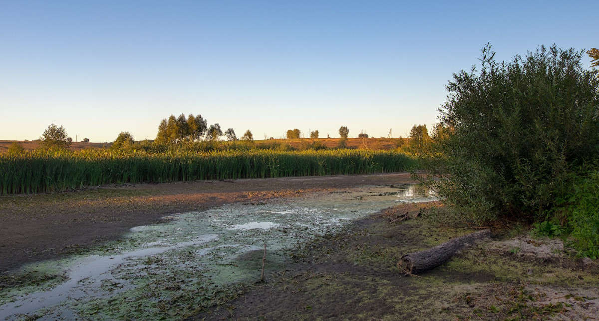 �������� ������ �������.... ����� Vladimir Bronnikov �� PhotoGeek.ru #������ ��� �������