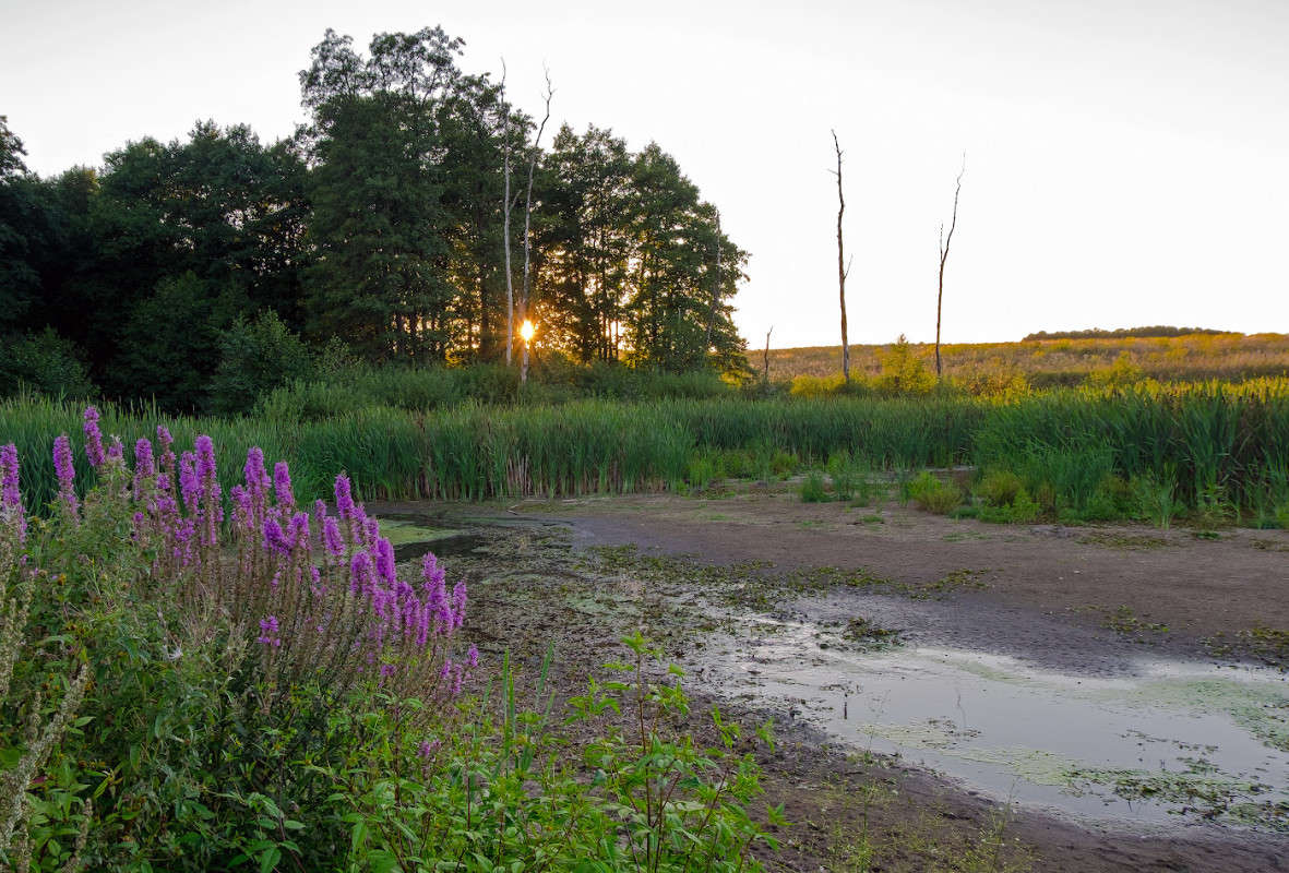 �������� ������ �������.... ����� Vladimir Bronnikov �� PhotoGeek.ru #������ ��� �������