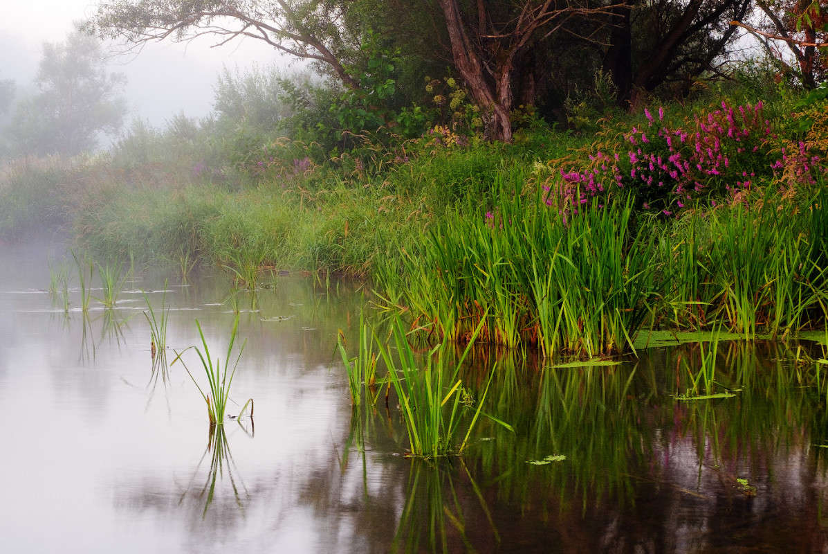 ������������ ������........... ����� Vladimir Bronnikov �� PhotoGeek.ru #������ ��� �������