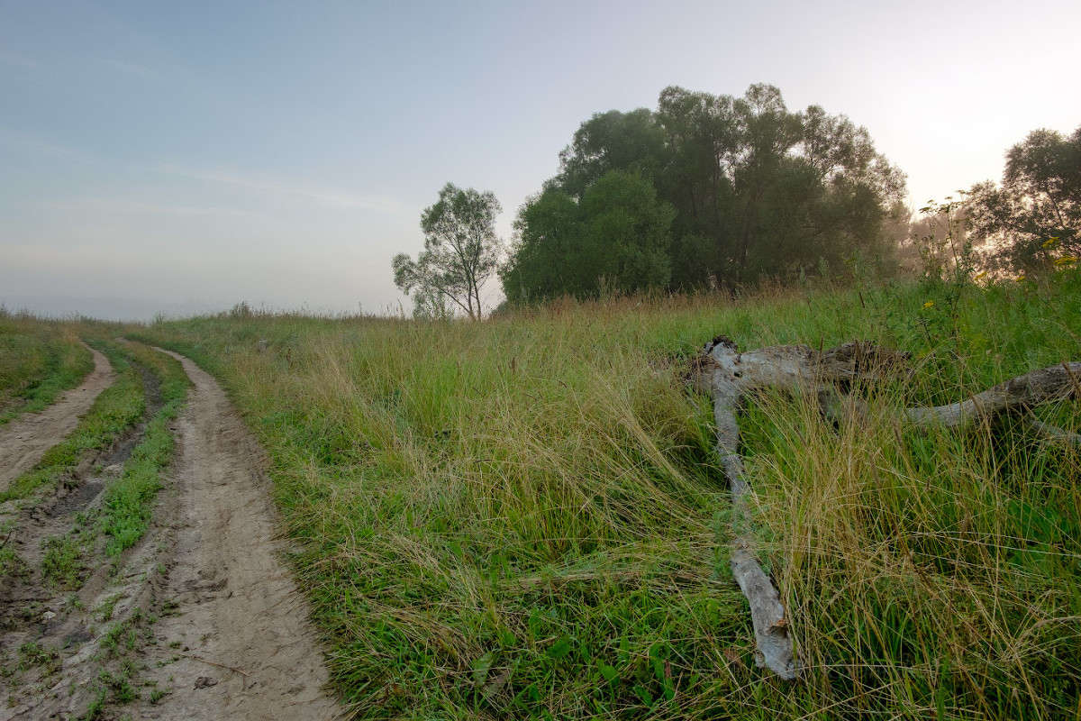 ������������ ������........... ����� Vladimir Bronnikov �� PhotoGeek.ru #������ ��� �������