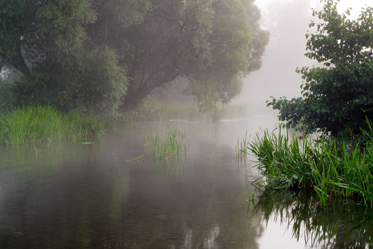 ������������ ������........... ����� Vladimir Bronnikov �� PhotoGeek.ru #������ ��� �������