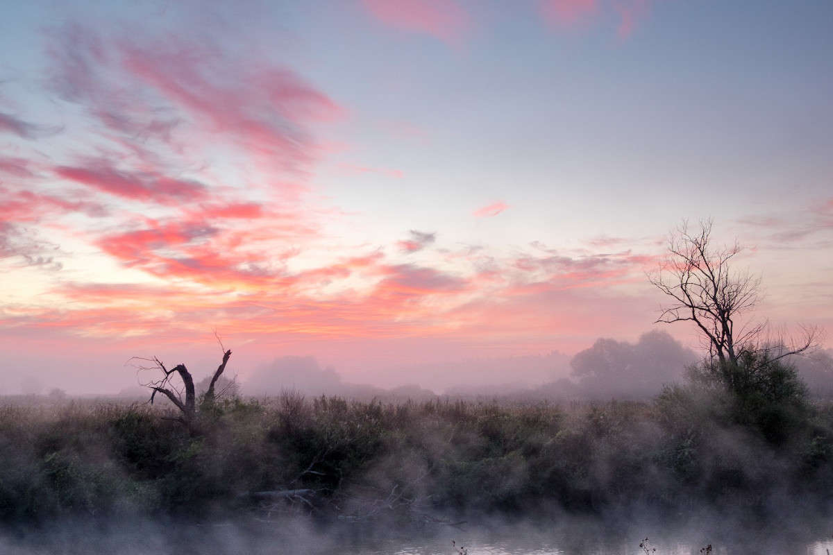 ���� ������ ���........... ����� Vladimir Bronnikov �� PhotoGeek.ru #������ ��� �������