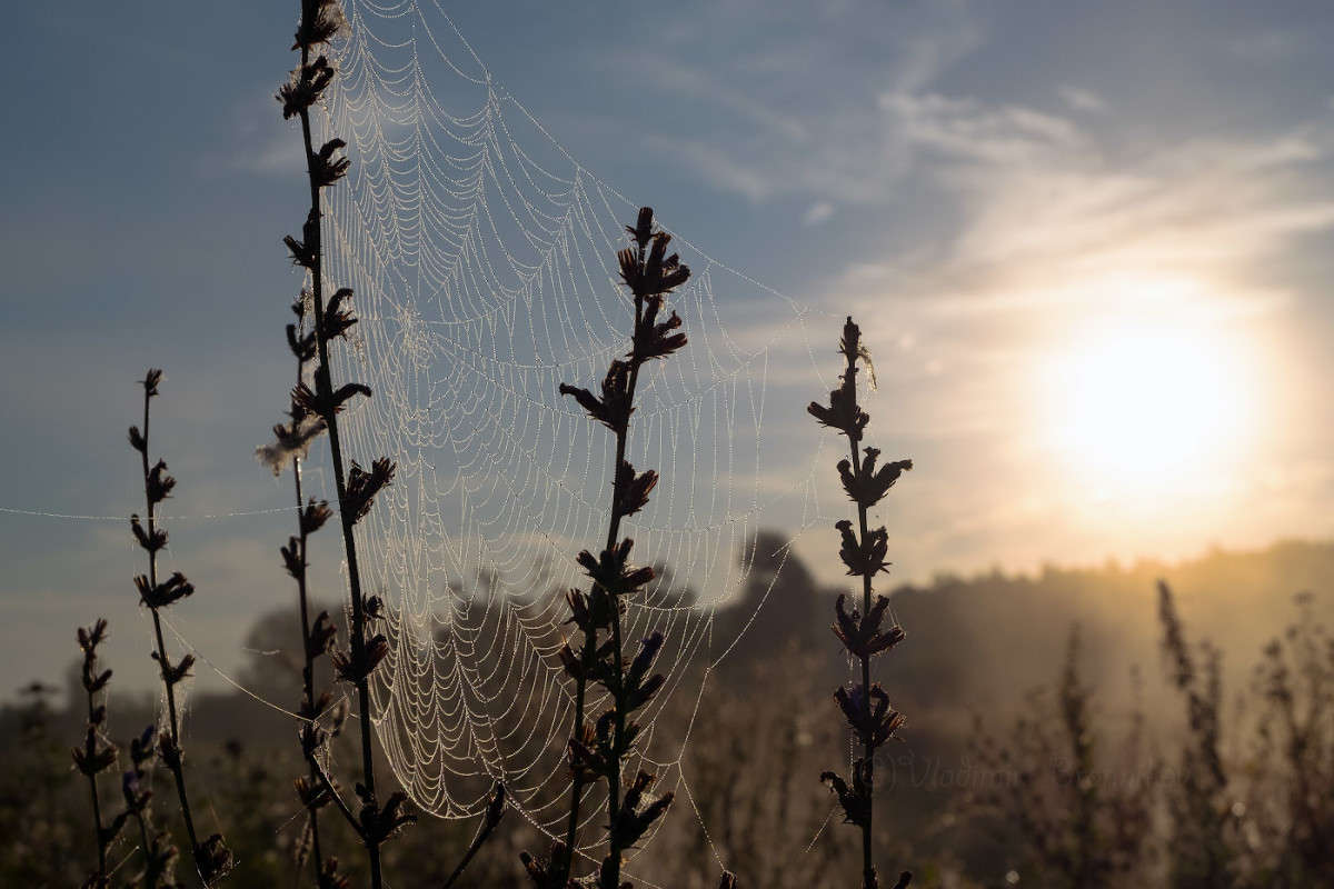 ���������� �������........ ����� Vladimir Bronnikov �� PhotoGeek.ru #�����