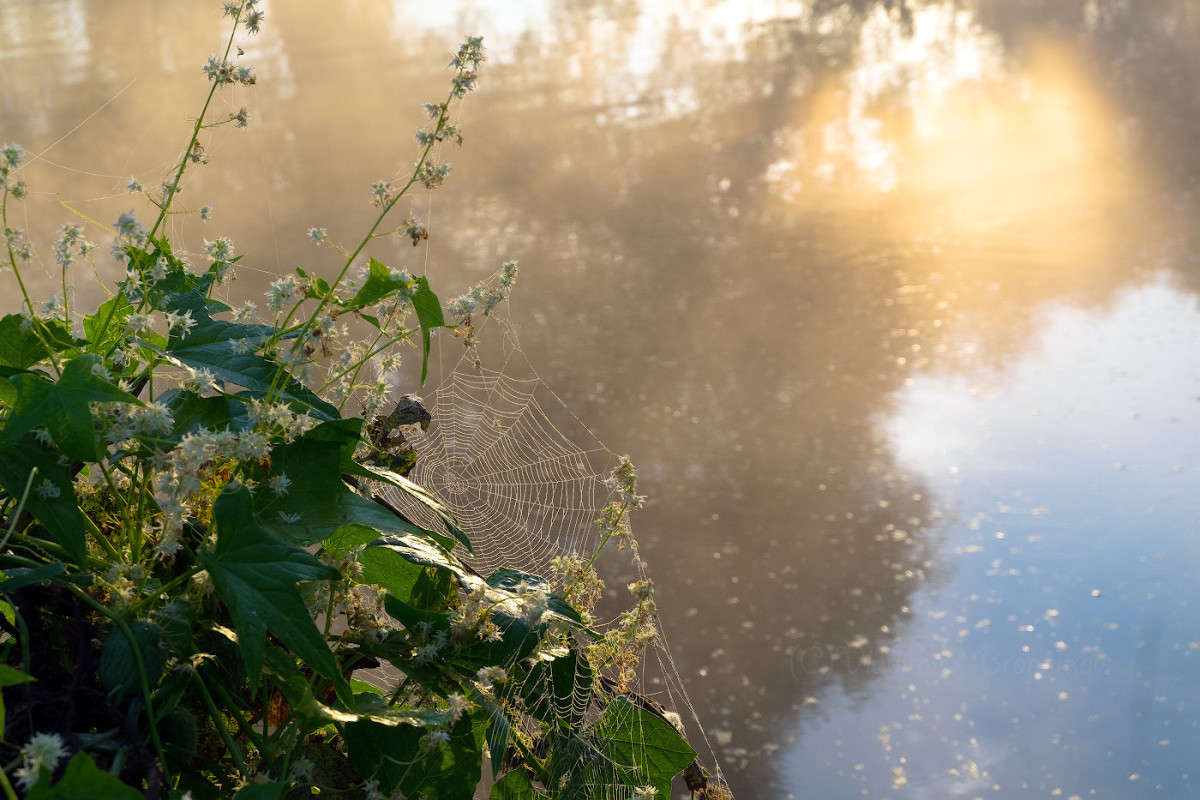 ���������� �������........ ����� Vladimir Bronnikov �� PhotoGeek.ru #�����