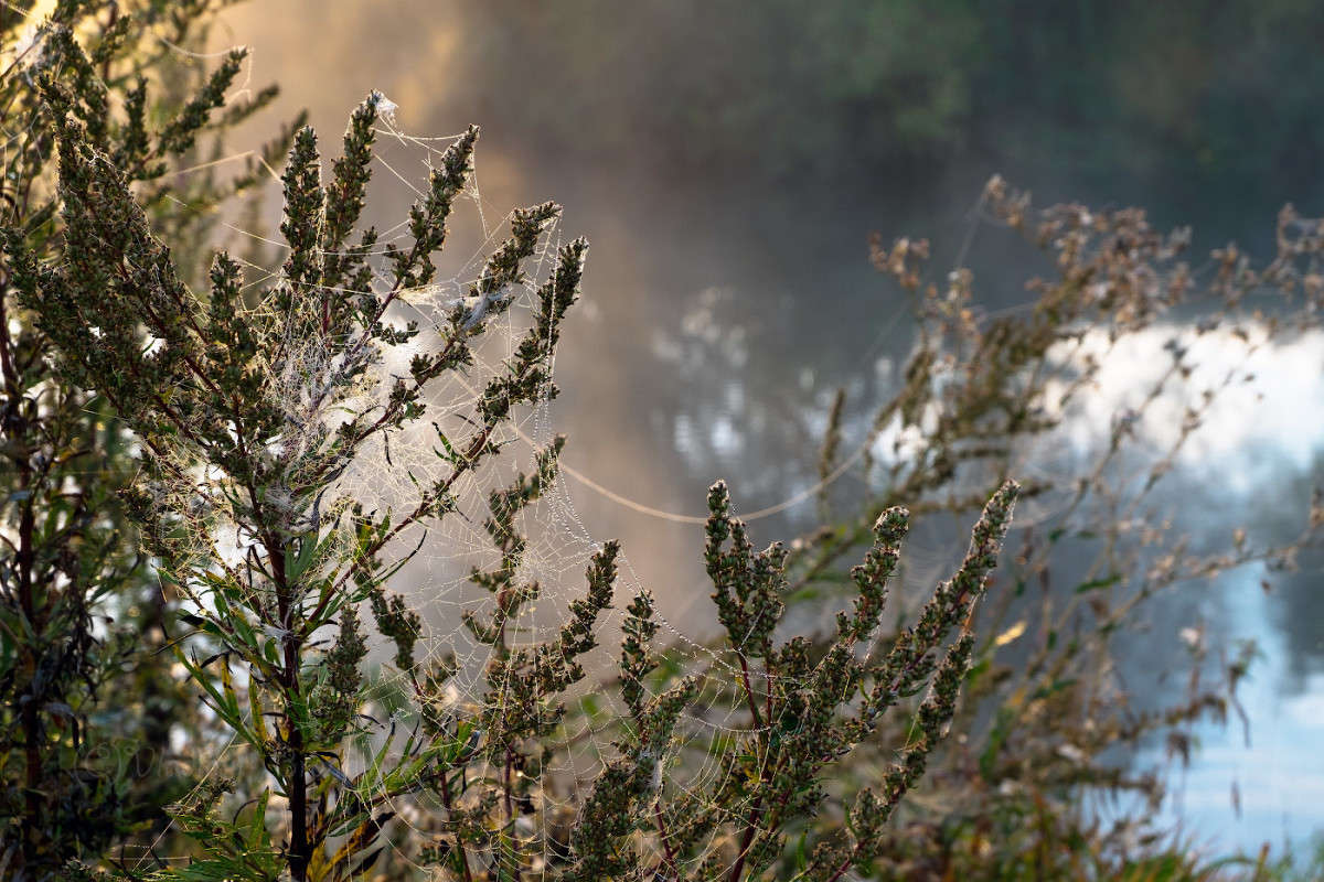 ���������� �������......... ����� Vladimir Bronnikov �� PhotoGeek.ru #�����