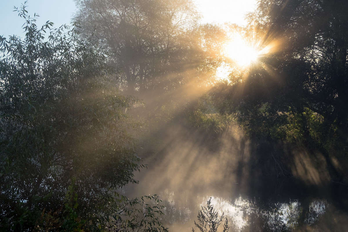 ���������� ����........ ����� Vladimir Bronnikov �� PhotoGeek.ru #������ ��� �������
