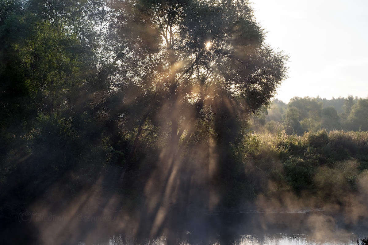 ���������� ����........ ����� Vladimir Bronnikov �� PhotoGeek.ru #������ ��� �������