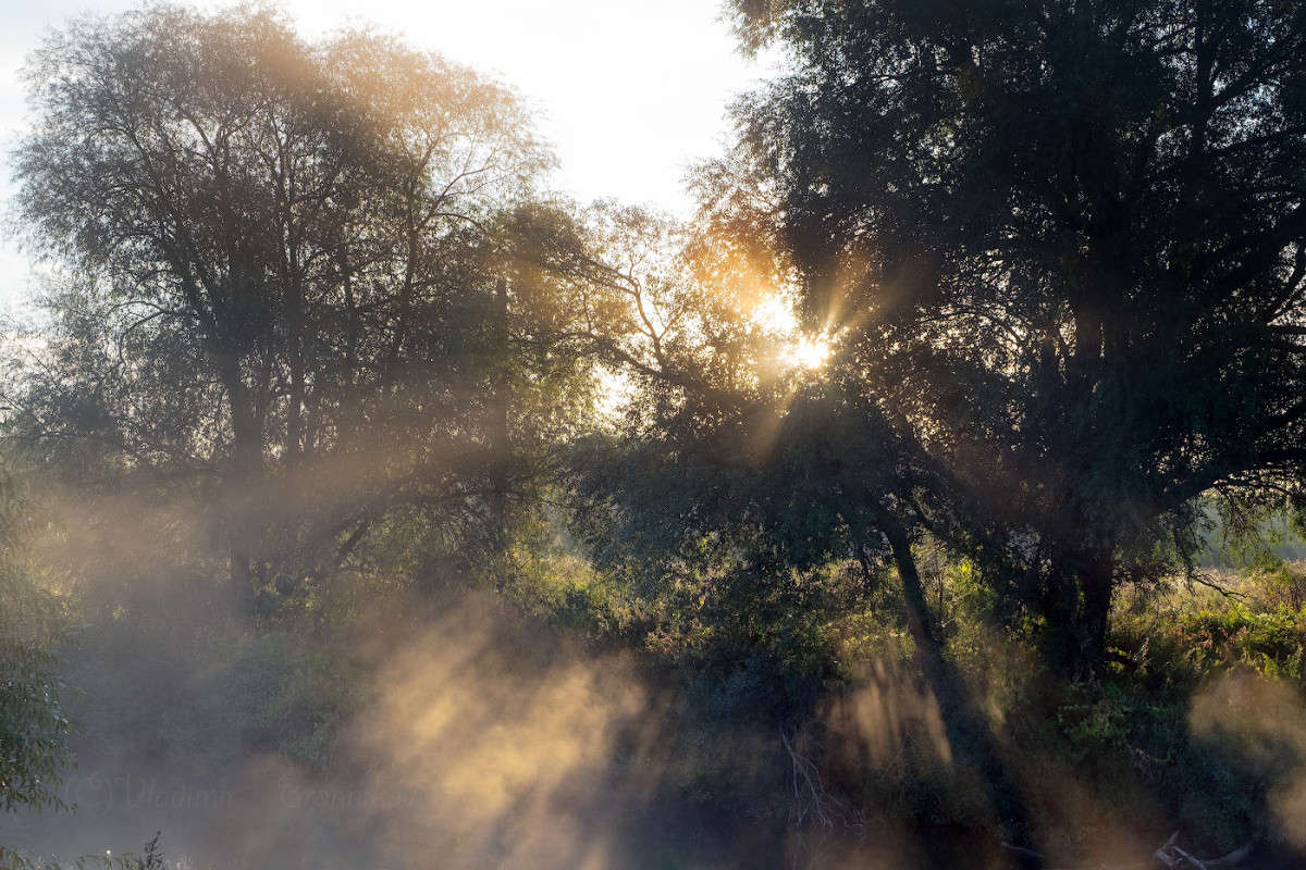 ���������� ����........ ����� Vladimir Bronnikov �� PhotoGeek.ru #������ ��� �������