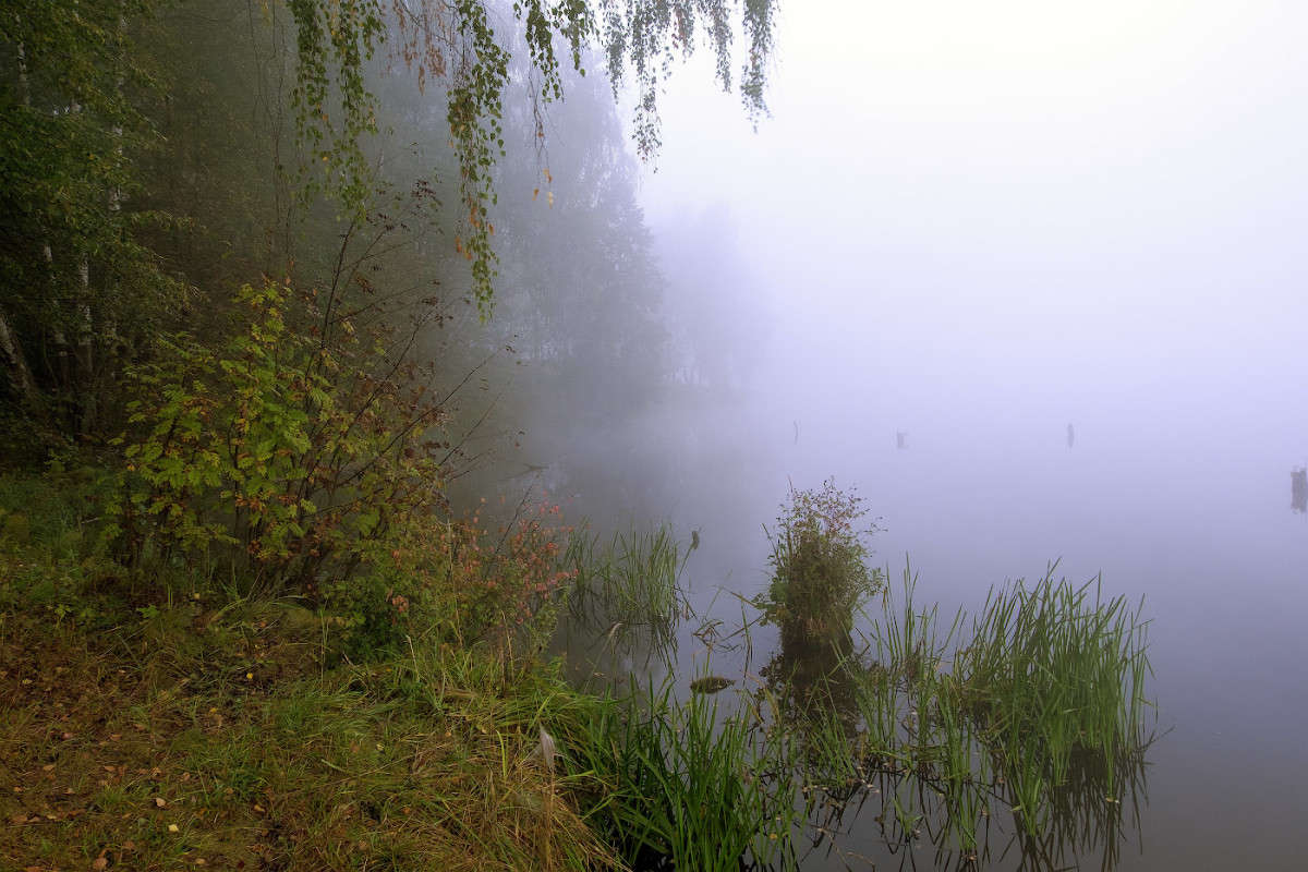 �������� ����............ ����� Vladimir Bronnikov �� PhotoGeek.ru #������ ��� �������