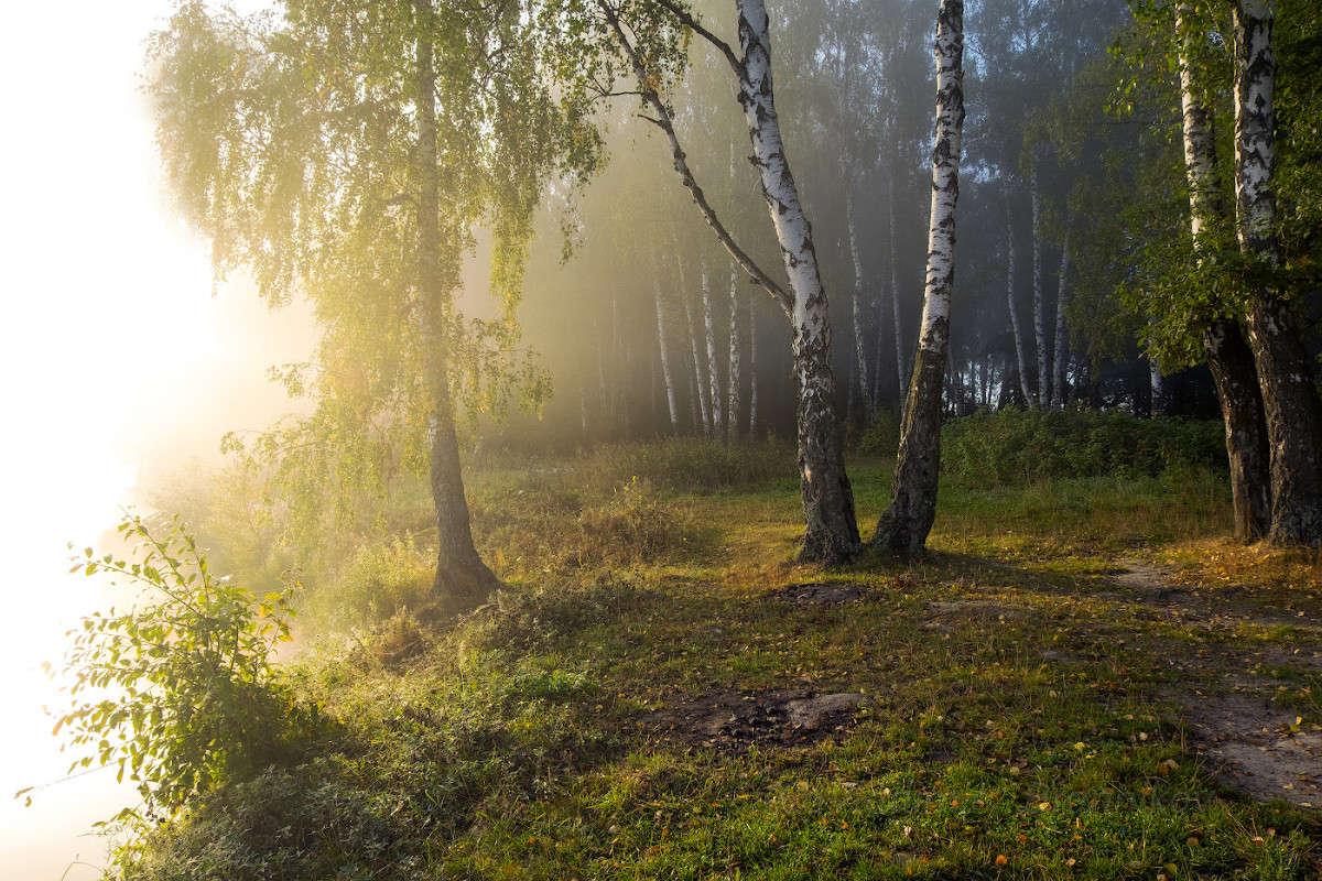 �������� ����............ ����� Vladimir Bronnikov �� PhotoGeek.ru #������ ��� �������