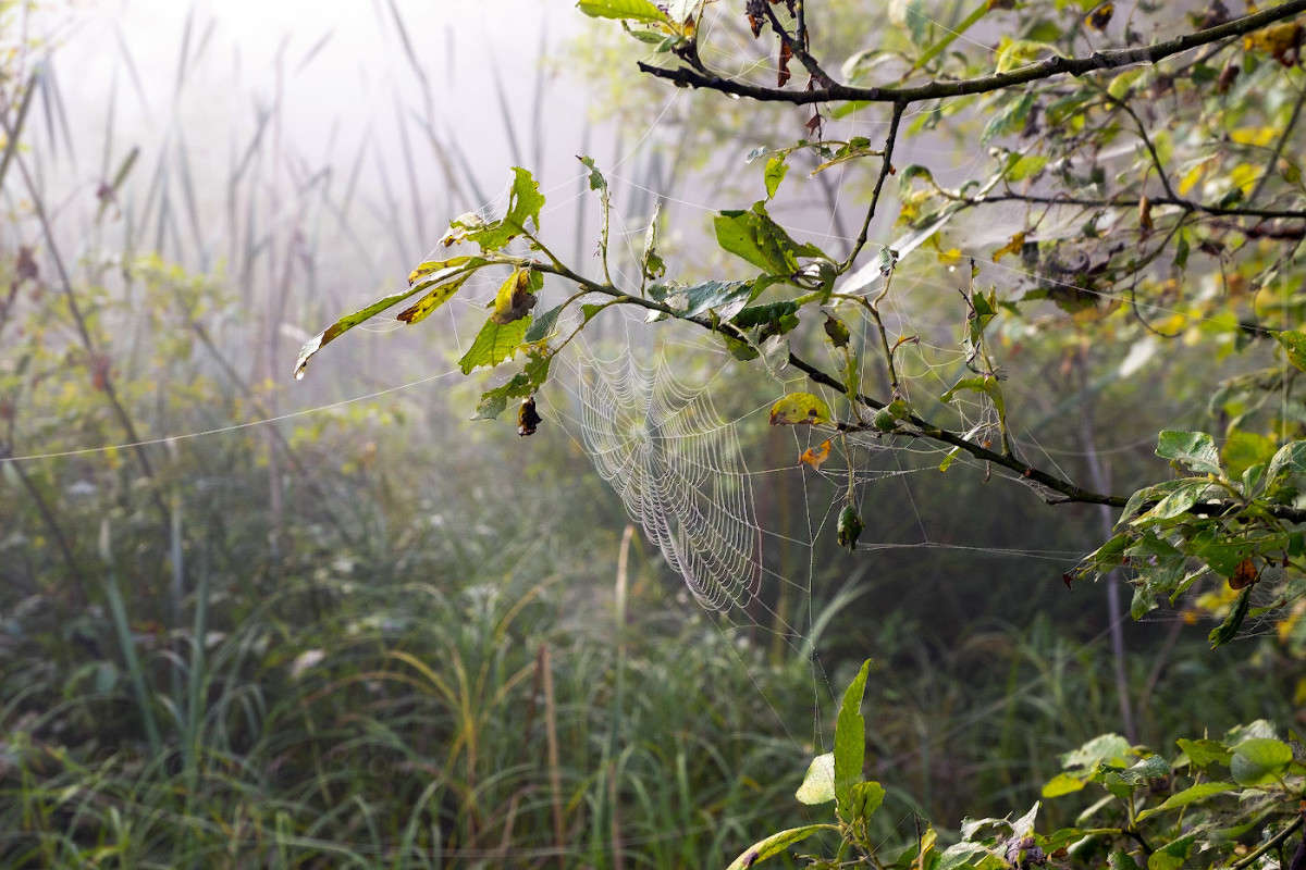 �������� ����............ ����� Vladimir Bronnikov �� PhotoGeek.ru #������ ��� �������