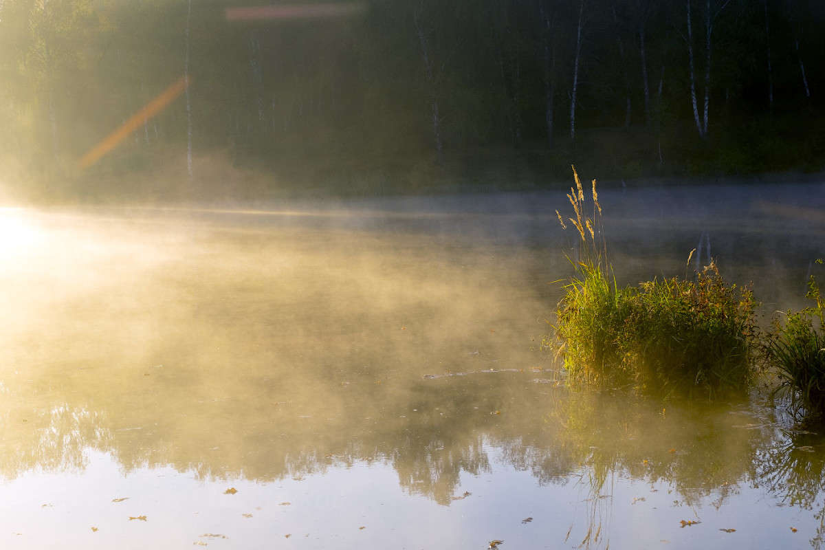 �������� �������..... ����� Vladimir Bronnikov �� PhotoGeek.ru #������ ��� �������