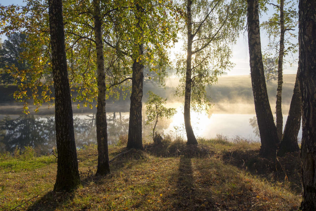 �������� �������..... ����� Vladimir Bronnikov �� PhotoGeek.ru #������ ��� �������