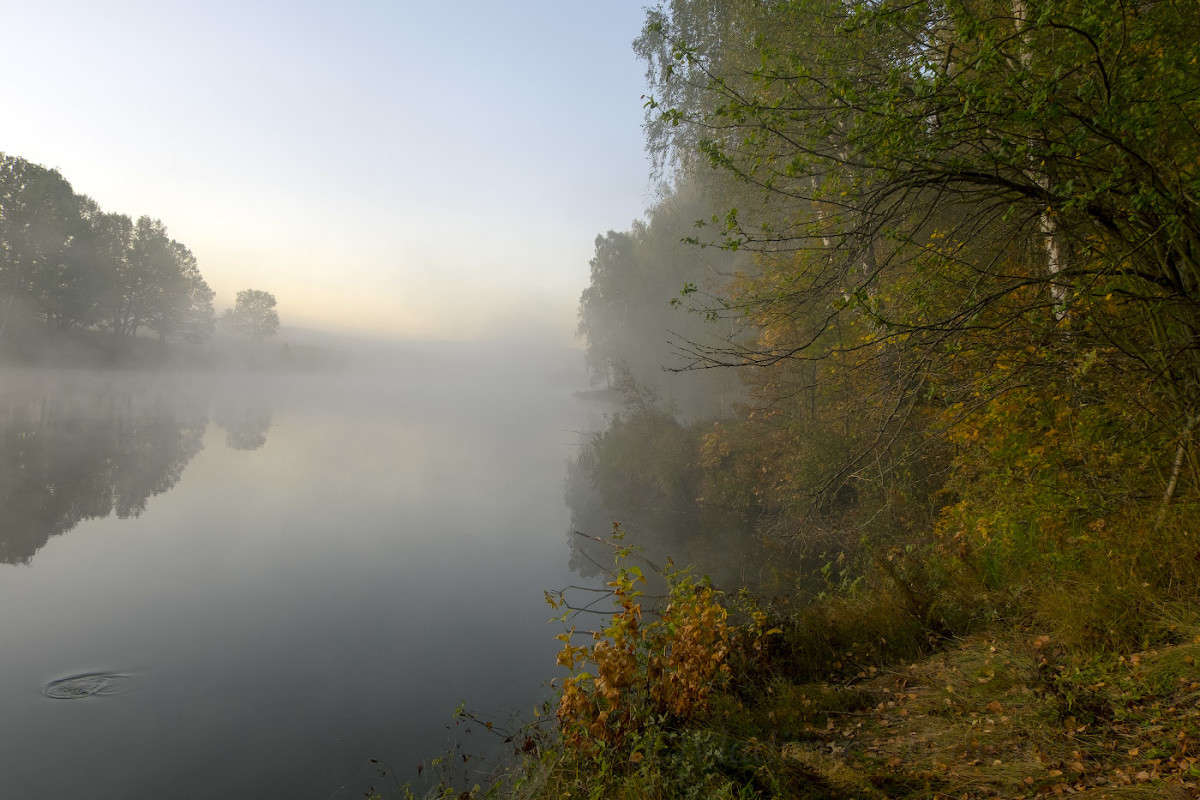 �������� �������..... ����� Vladimir Bronnikov �� PhotoGeek.ru #������ ��� �������