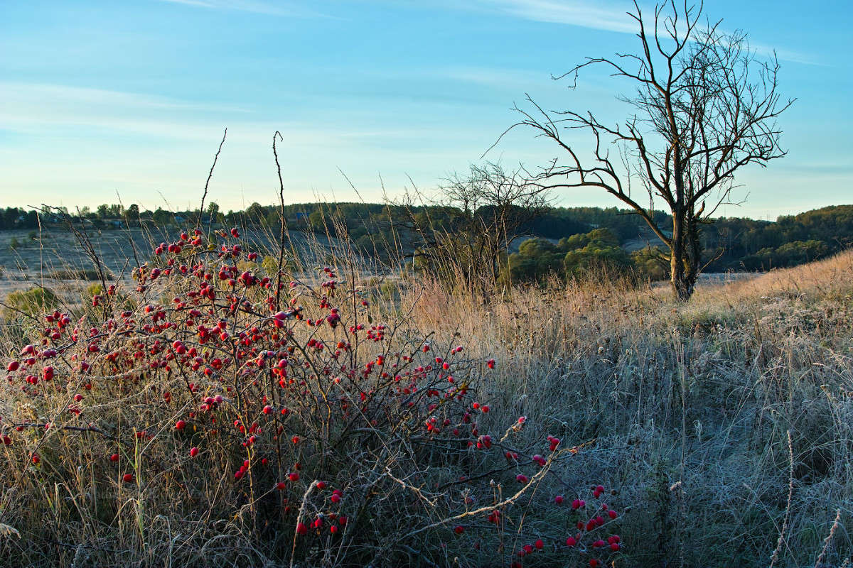 ������ ���������......(4.10.2015) ����� Vladimir Bronnikov �� PhotoGeek.ru #������ ��� �������