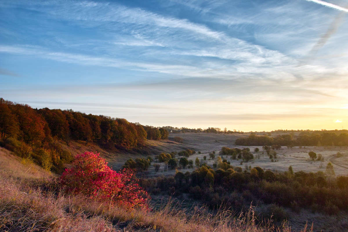 ������ ���������......(4.10.2015) ����� Vladimir Bronnikov �� PhotoGeek.ru #������ ��� �������
