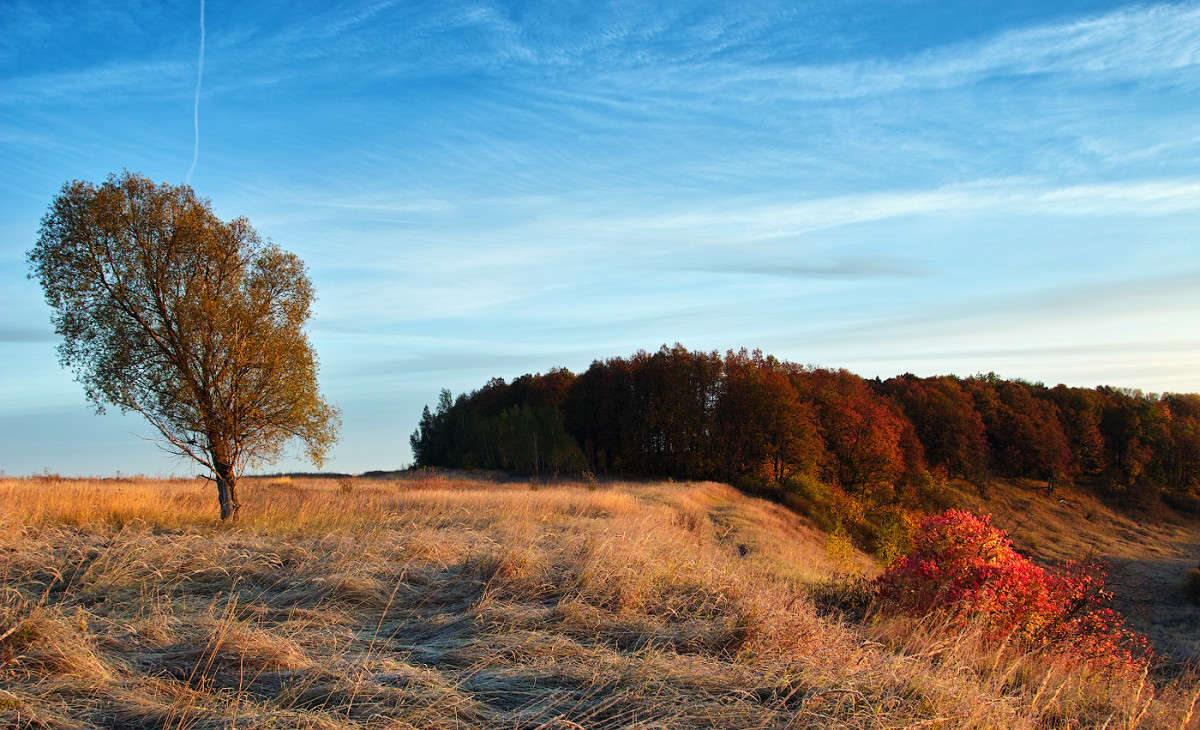 ������ ���������......(4.10.2015) ����� Vladimir Bronnikov �� PhotoGeek.ru #������ ��� �������