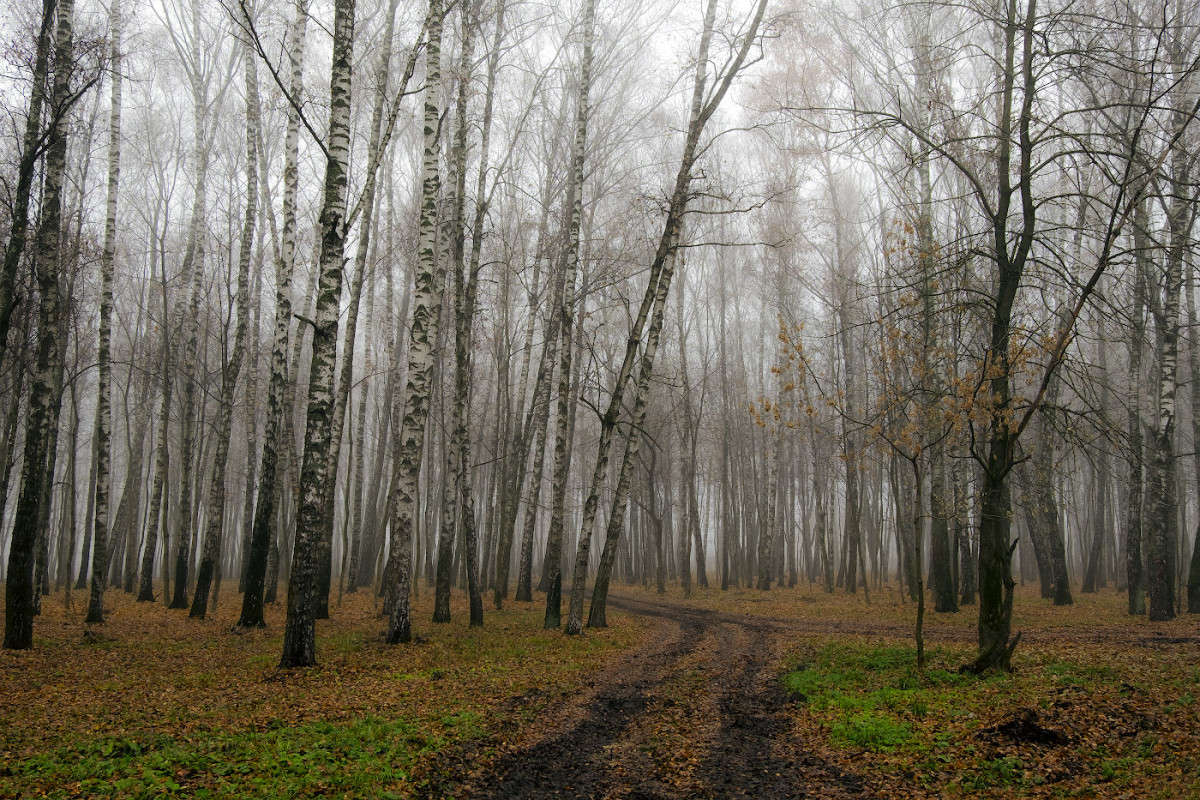 �������� ���� � �����....... ����� Vladimir Bronnikov �� PhotoGeek.ru #������ ��� �������