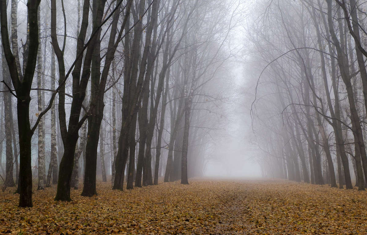 �������� ���� � �����....... ����� Vladimir Bronnikov �� PhotoGeek.ru #������ ��� �������