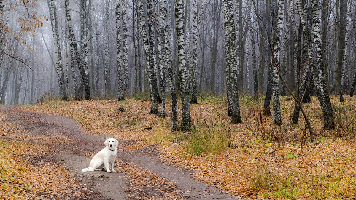 �������� ���� � �����....... ����� Vladimir Bronnikov �� PhotoGeek.ru #������ ��� �������