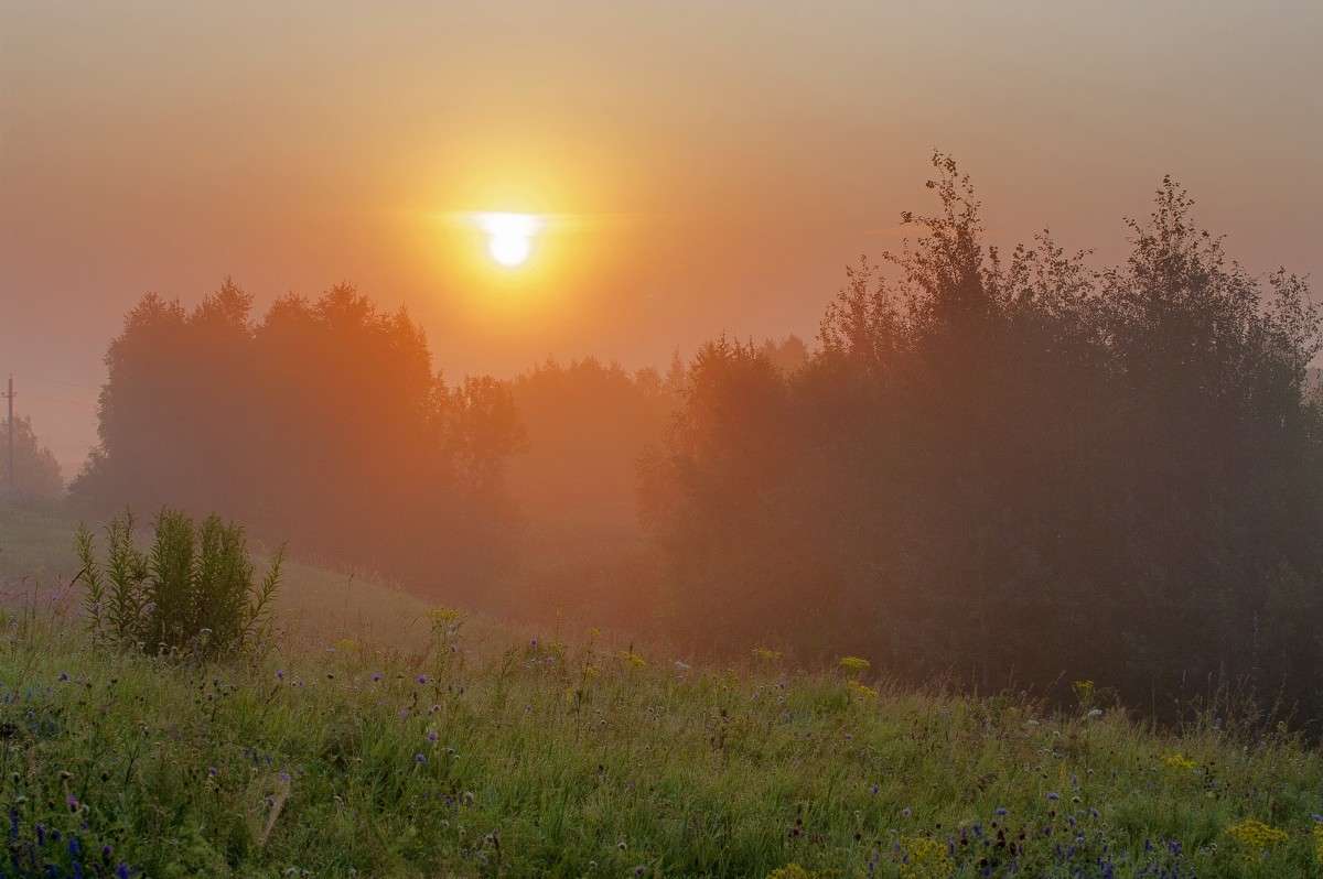 Ҹ���� �������� �������! ����� Vladimir Bronnikov �� PhotoGeek.ru #������ ��� �������