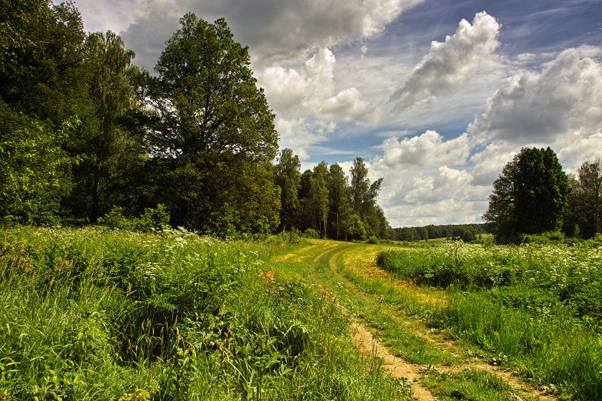 ��������� ���� � ����� ������! ����� Vladimir Bronnikov �� PhotoGeek.ru #������ ��� �������