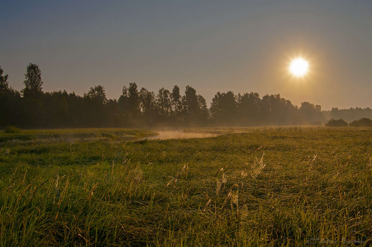 ���� ����� ������............. ����� Vladimir Bronnikov �� PhotoGeek.ru #������ ��� �������