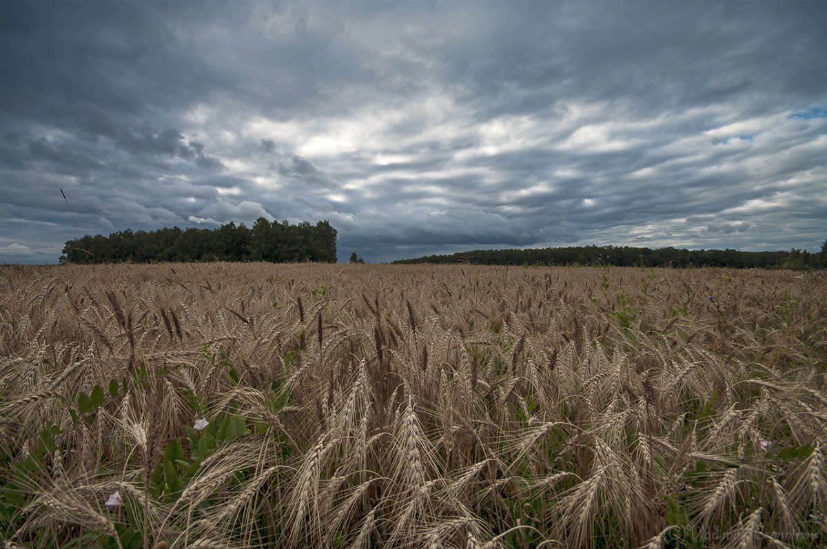 ����� ������! ����� Vladimir Bronnikov �� PhotoGeek.ru #������ ��� �������