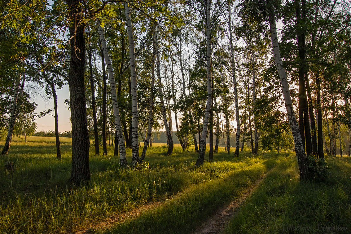 �������� ���� � �������� ����! ����� Vladimir Bronnikov �� PhotoGeek.ru #������ ��� �������