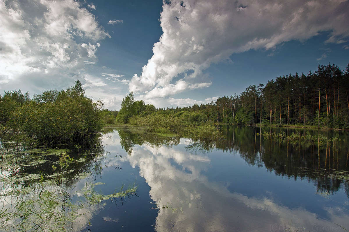 ���������........ ����� Vladimir Bronnikov �� PhotoGeek.ru #������ ��� �������