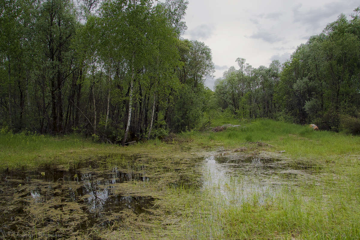 ������ ����������� ������! ����� Vladimir Bronnikov �� PhotoGeek.ru #������ ��� �������