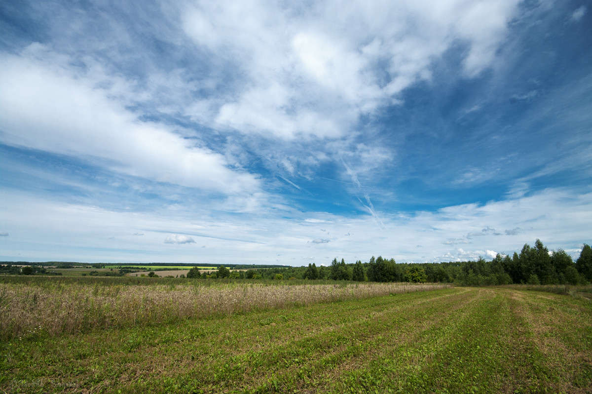 ������� ��������! ����� Vladimir Bronnikov �� PhotoGeek.ru #������ ��� �������