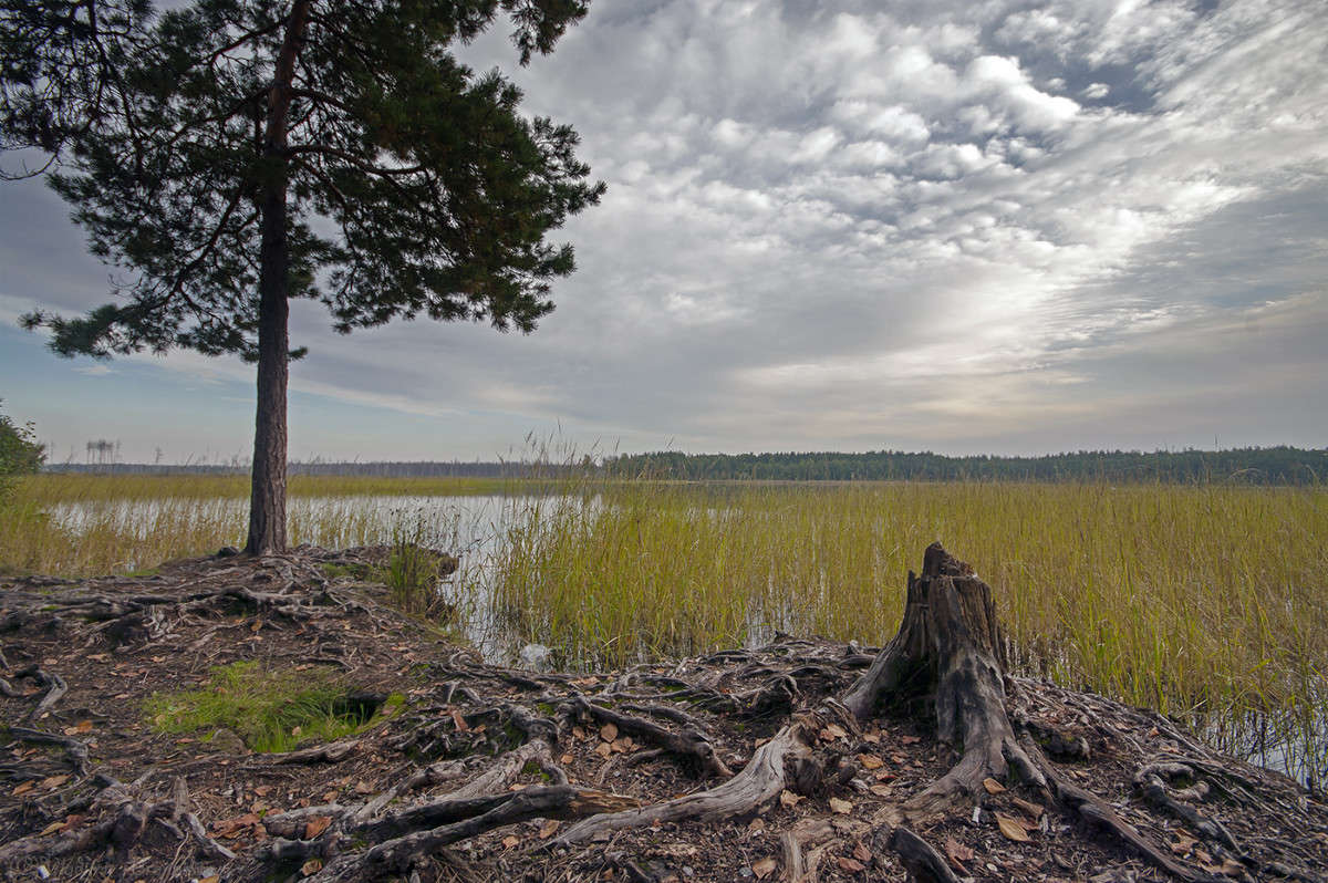 �����! ��. ����� ����� Vladimir Bronnikov �� PhotoGeek.ru #������ ��� �������