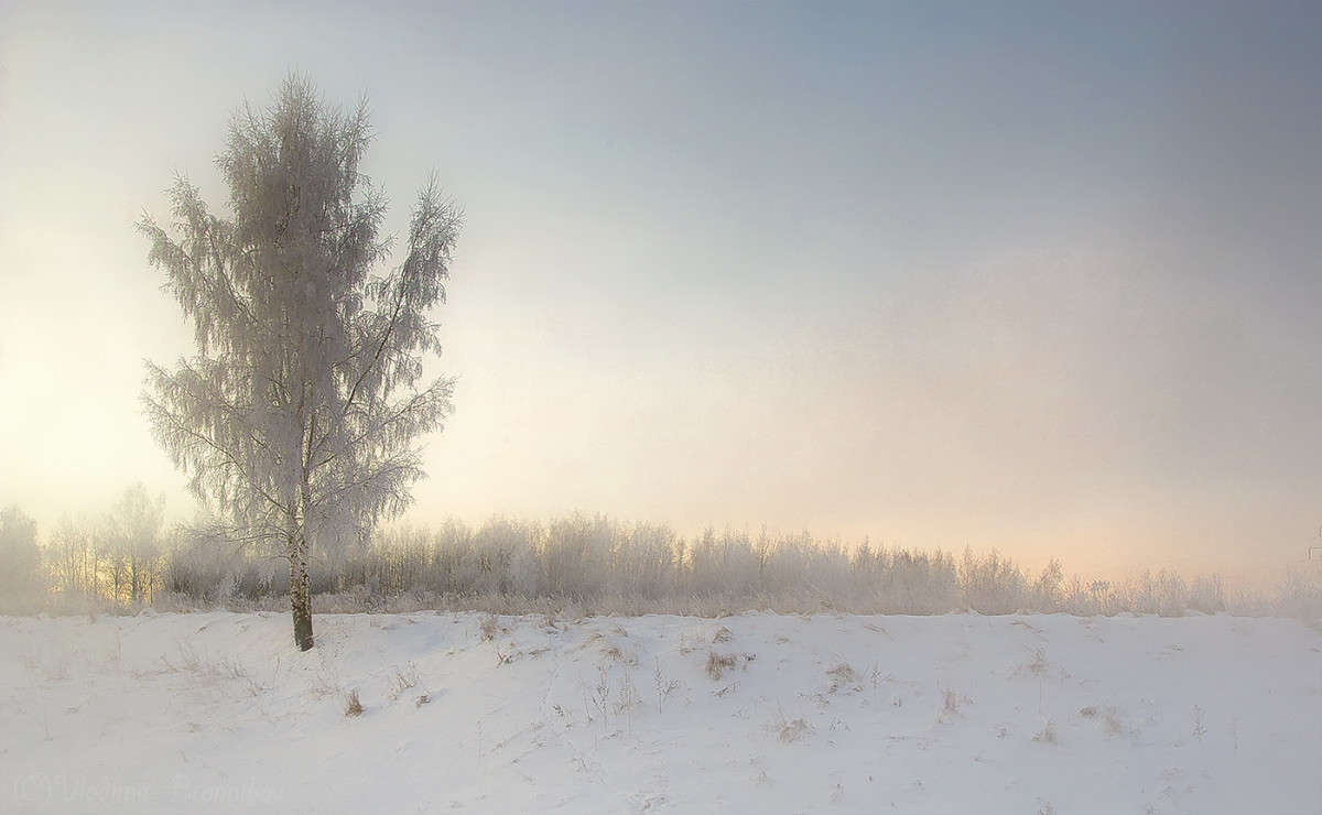 �������� ����! ����� Vladimir Bronnikov �� PhotoGeek.ru #������ ��� �������