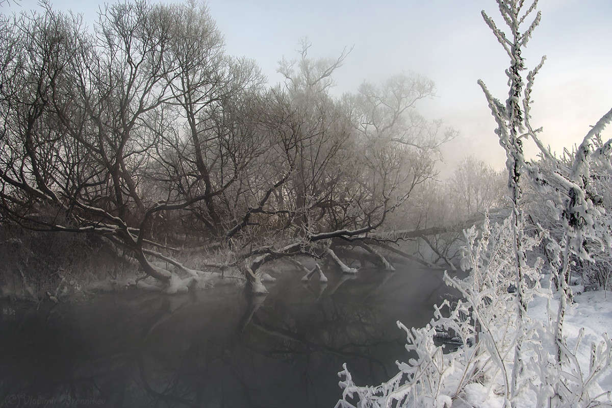 �������� ��������! ����� Vladimir Bronnikov �� PhotoGeek.ru #������ ��� �������