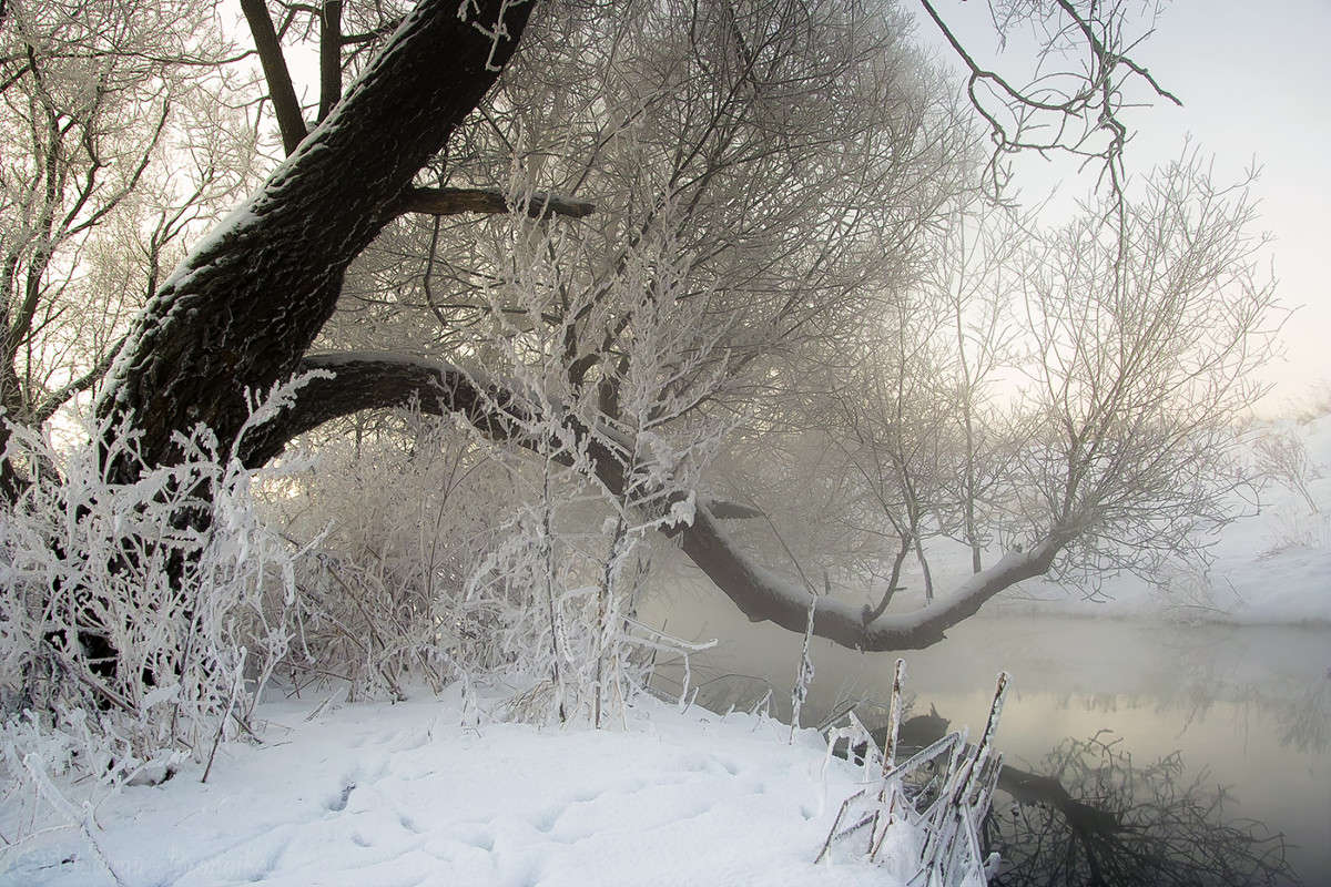 �������� ������! ����� Vladimir Bronnikov �� PhotoGeek.ru #������ ��� �������