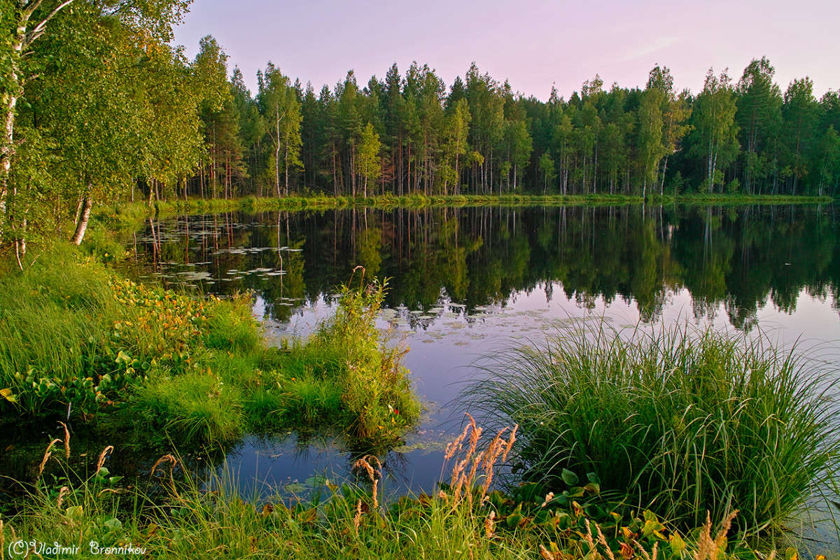 ������� ����� Vladimir Bronnikov �� PhotoGeek.ru #������ ��� �������